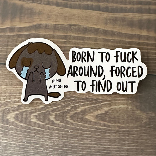 Born to Fuck Around, Forced to Find Out Sticker