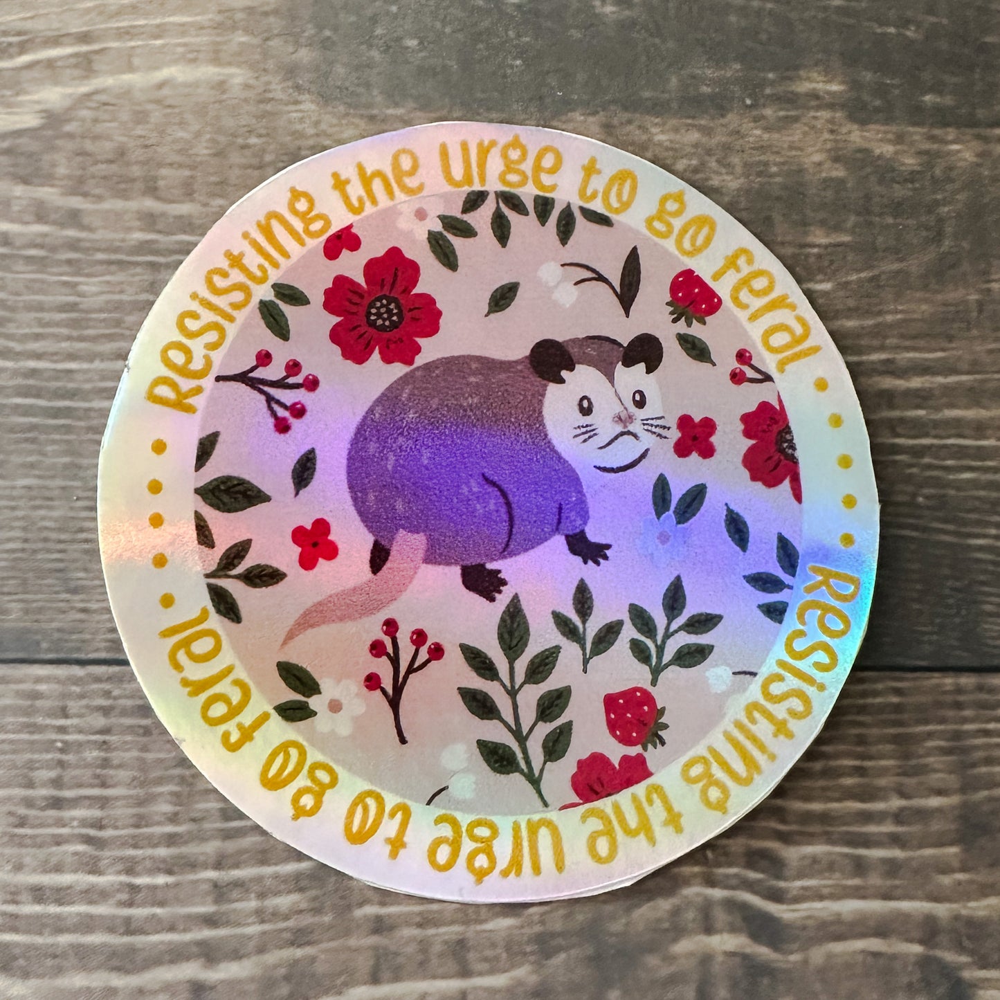 Fighting the Urge to go Feral Possum Sticker