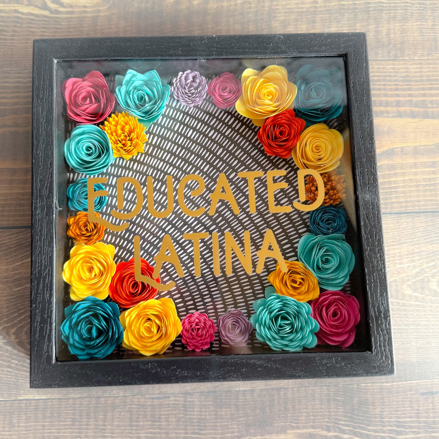 Educated Latina Shadowboxes