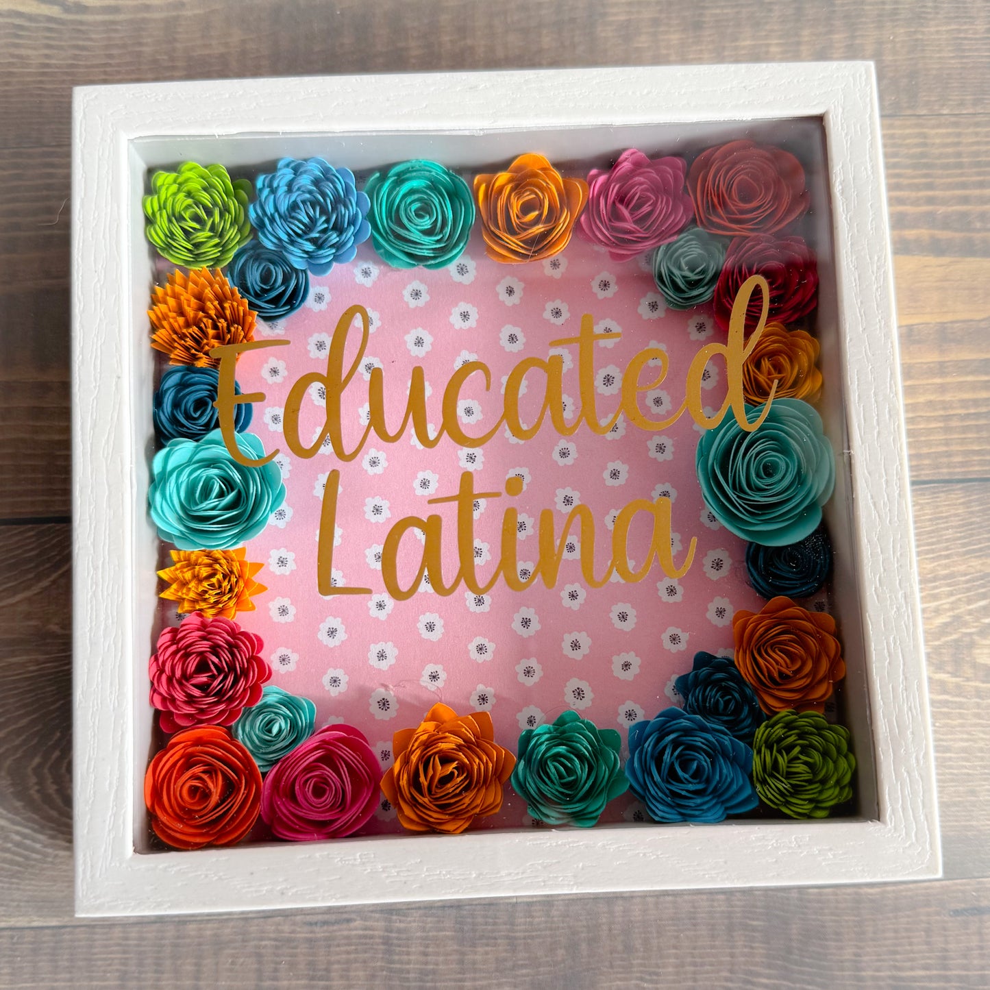 Educated Latina Shadowboxes