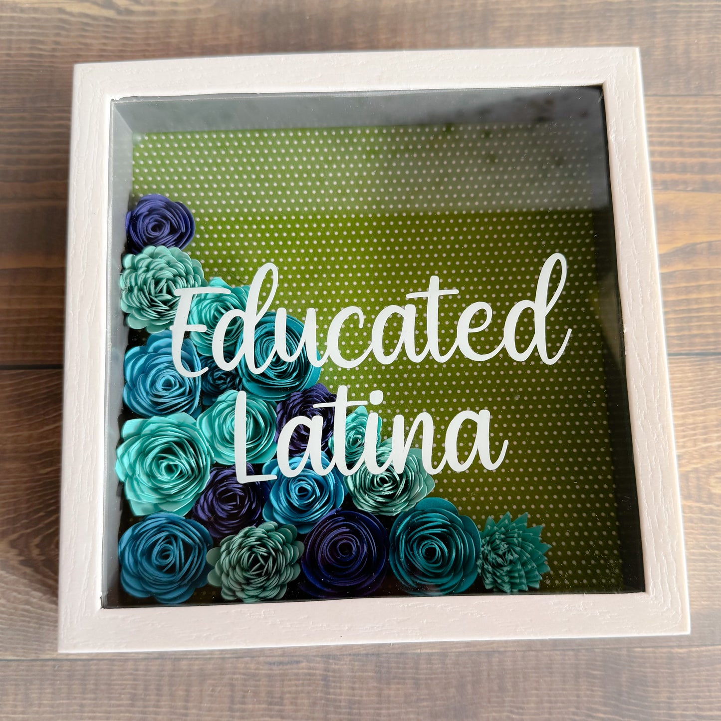 Educated Latina Shadowboxes