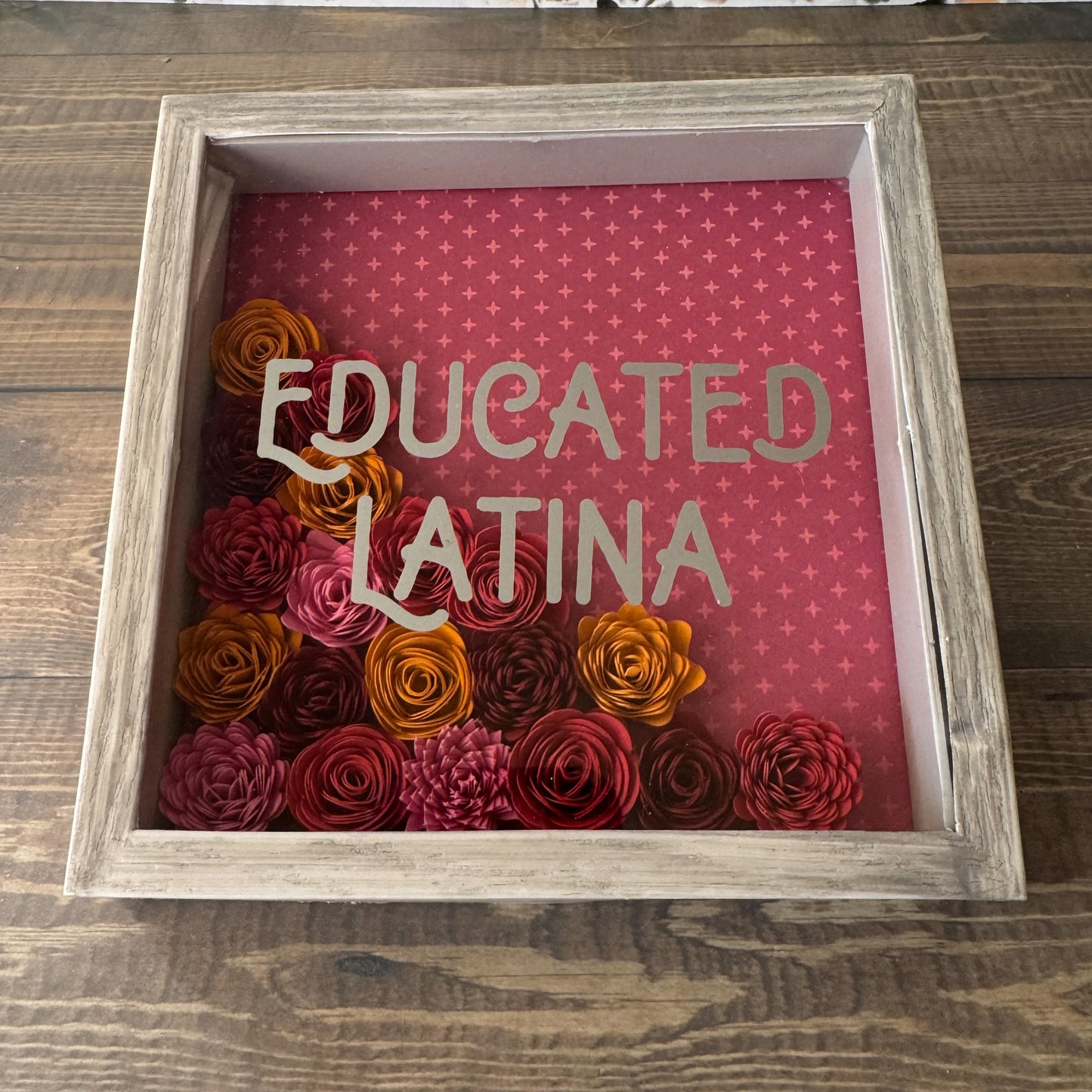 Educated Latina Shadowboxes