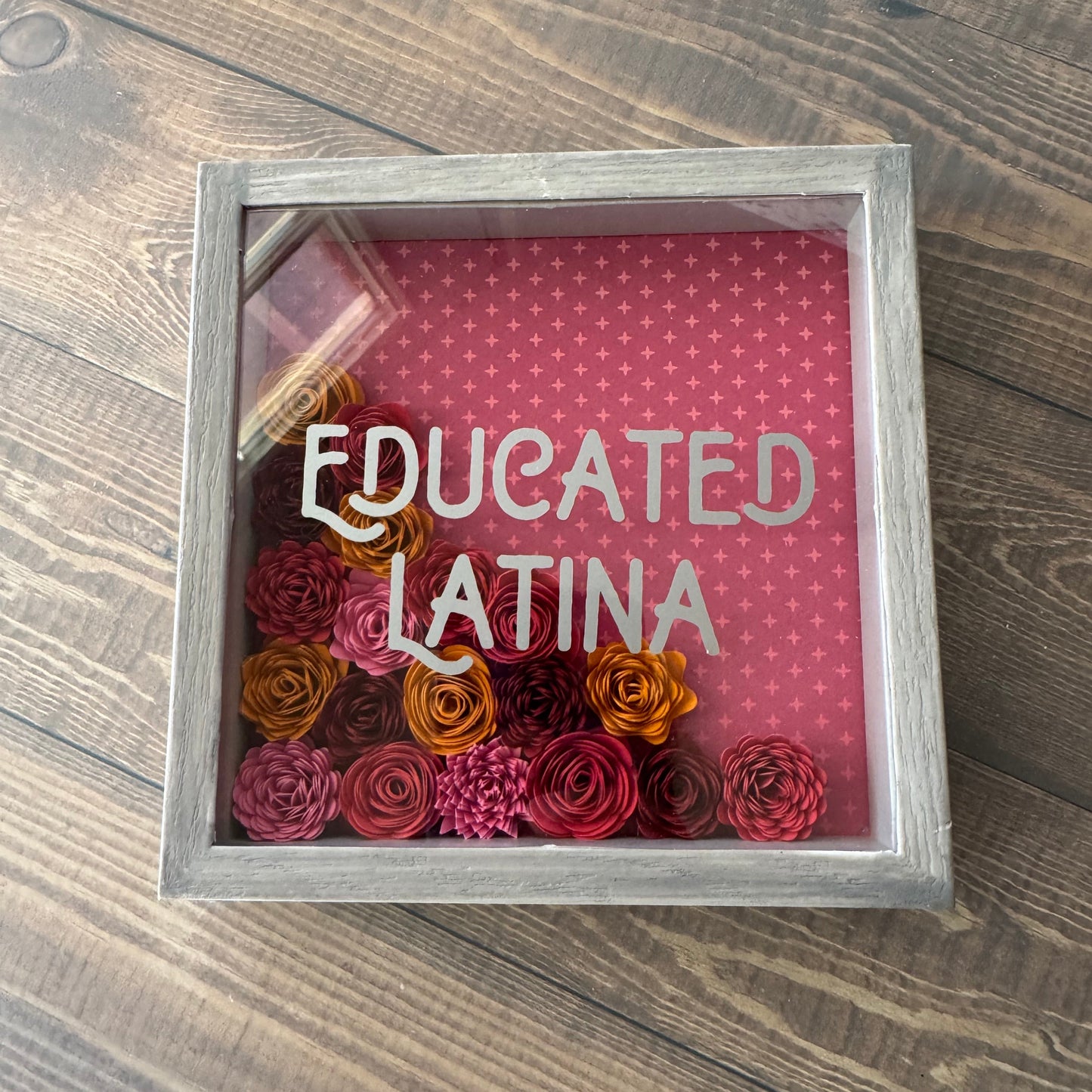 Educated Latina Shadowboxes