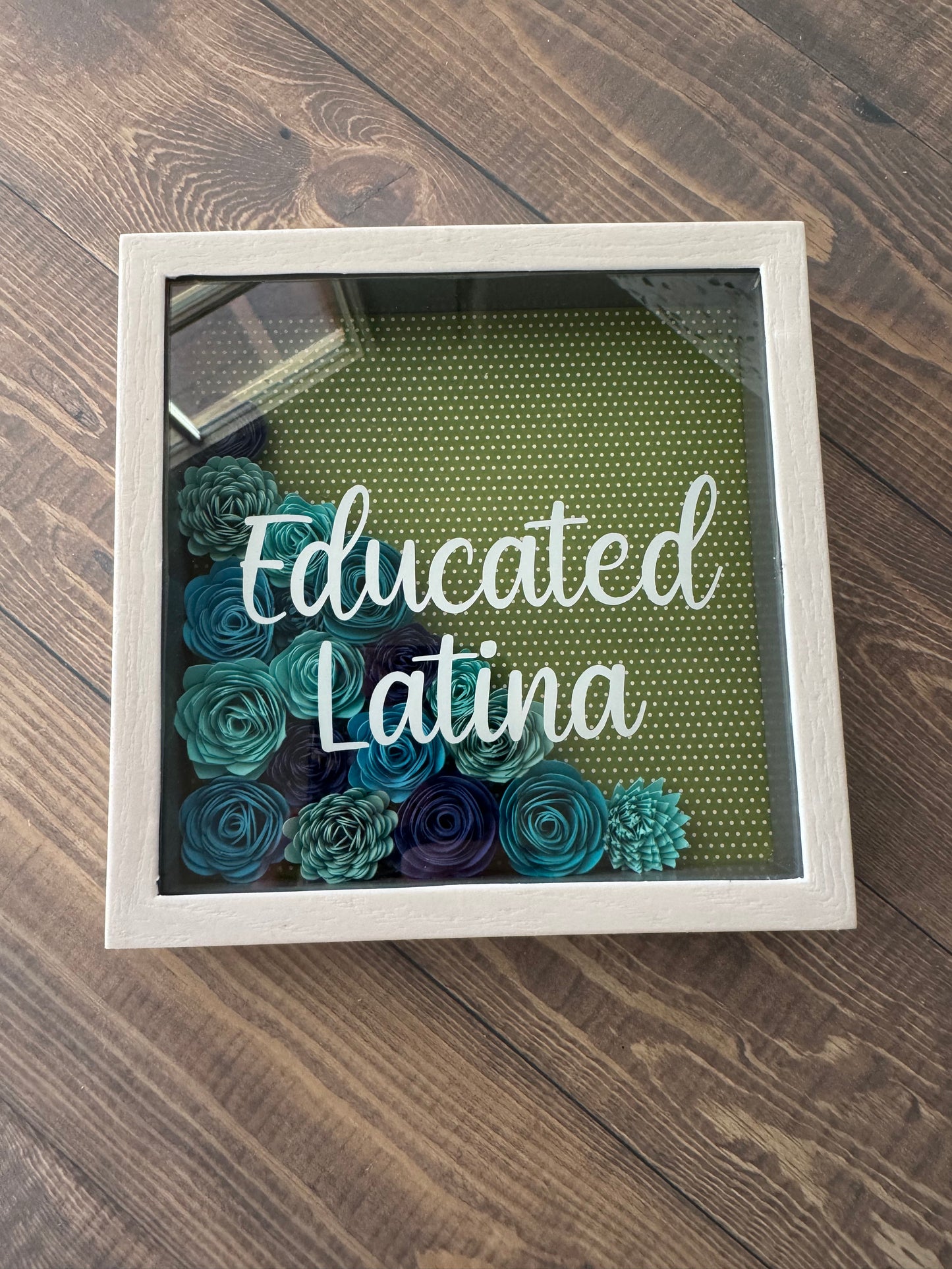 Educated Latina Shadowboxes