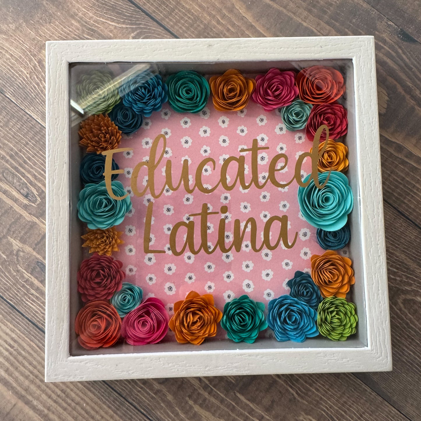 Educated Latina Shadowboxes