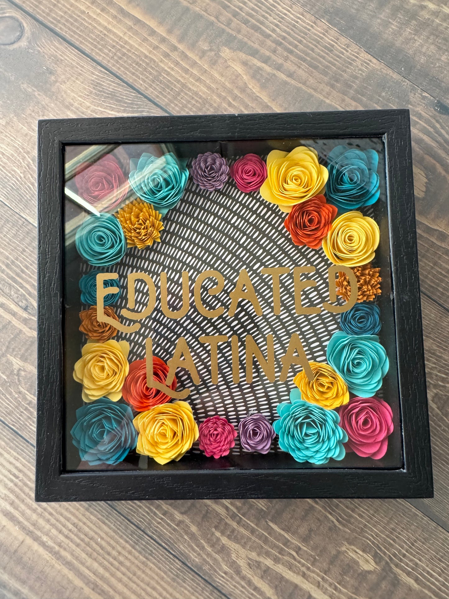Educated Latina Shadowboxes