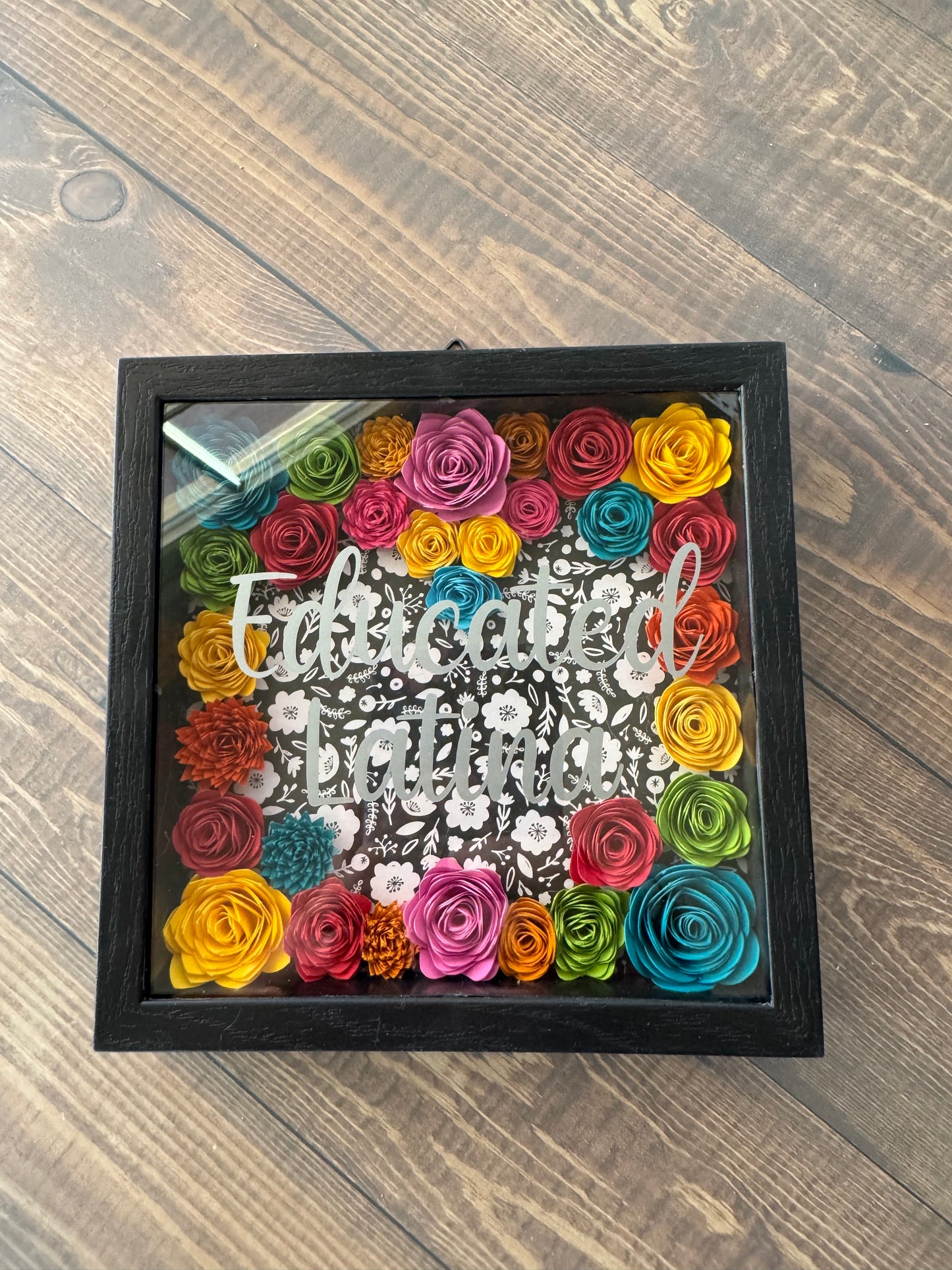 Educated Latina Shadowboxes