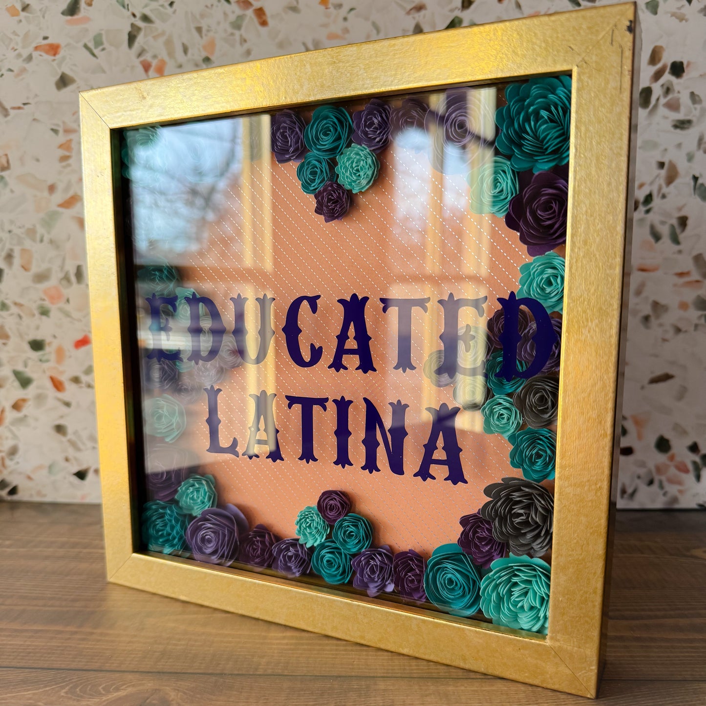 Educated Latina Shadowboxes