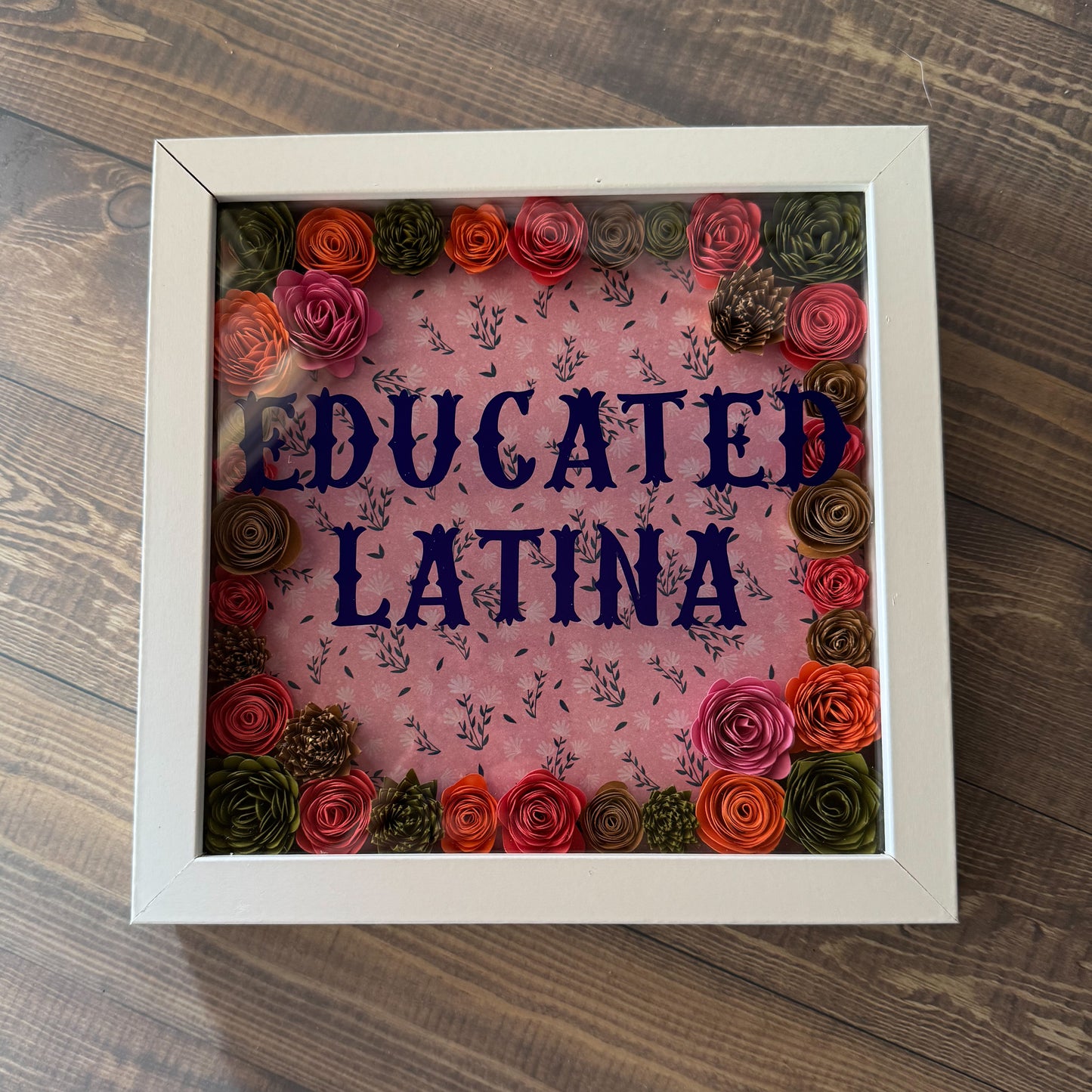 Educated Latina Shadowboxes