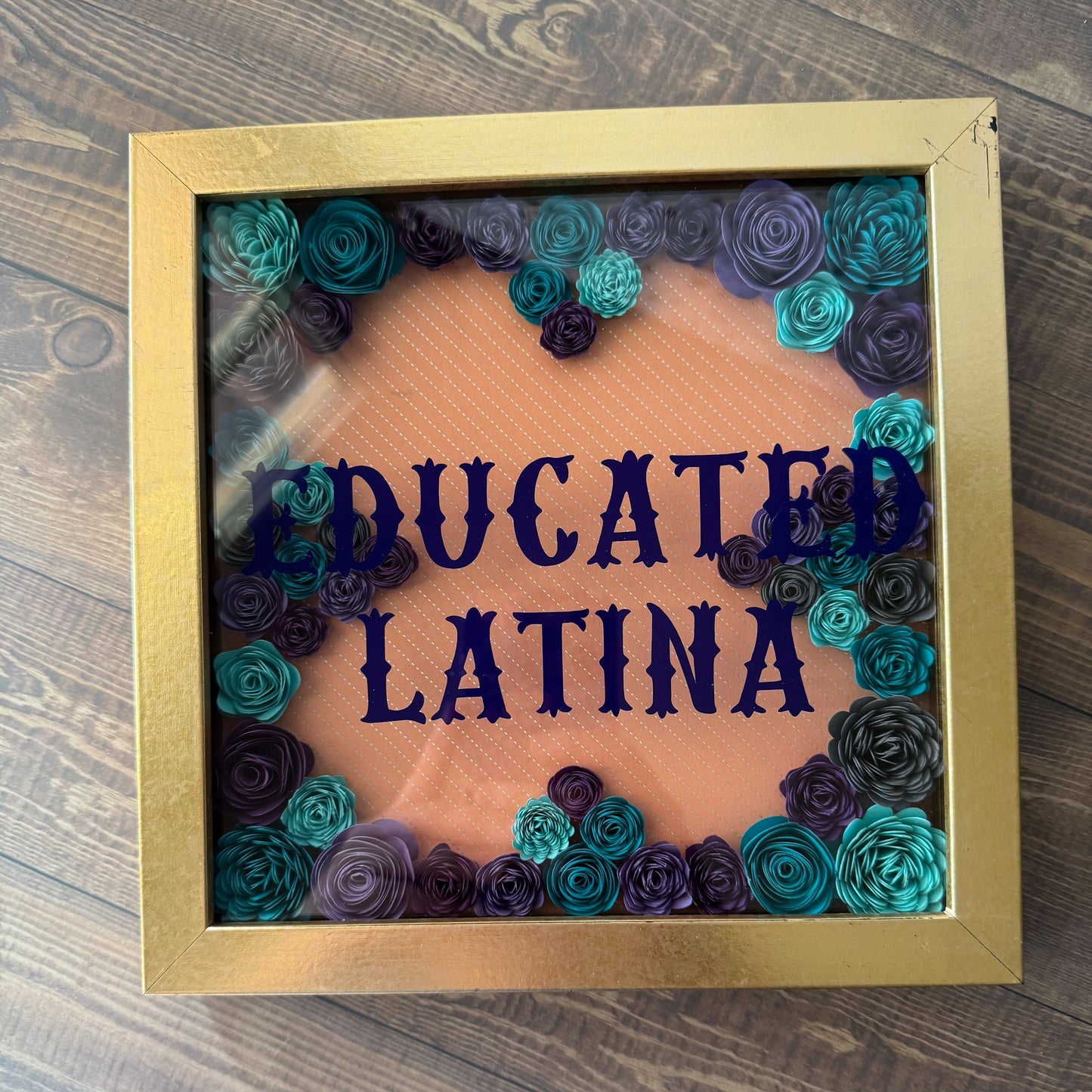 Educated Latina Shadowboxes