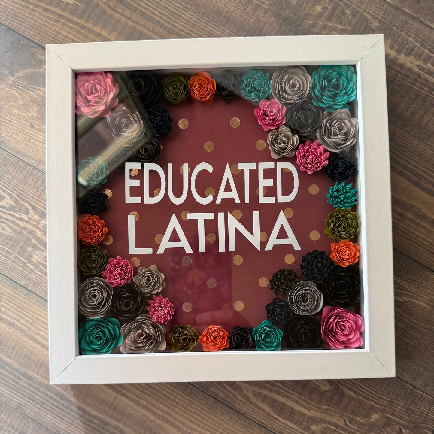 Educated Latina Shadowboxes