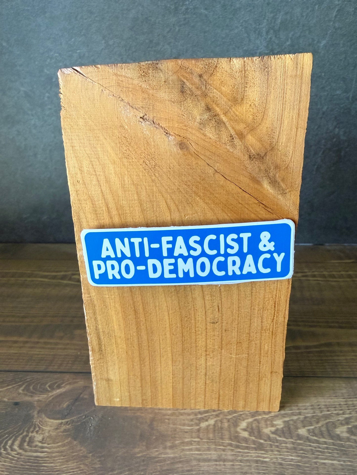 Anti-Fascist & Pro-Democracy Sticker