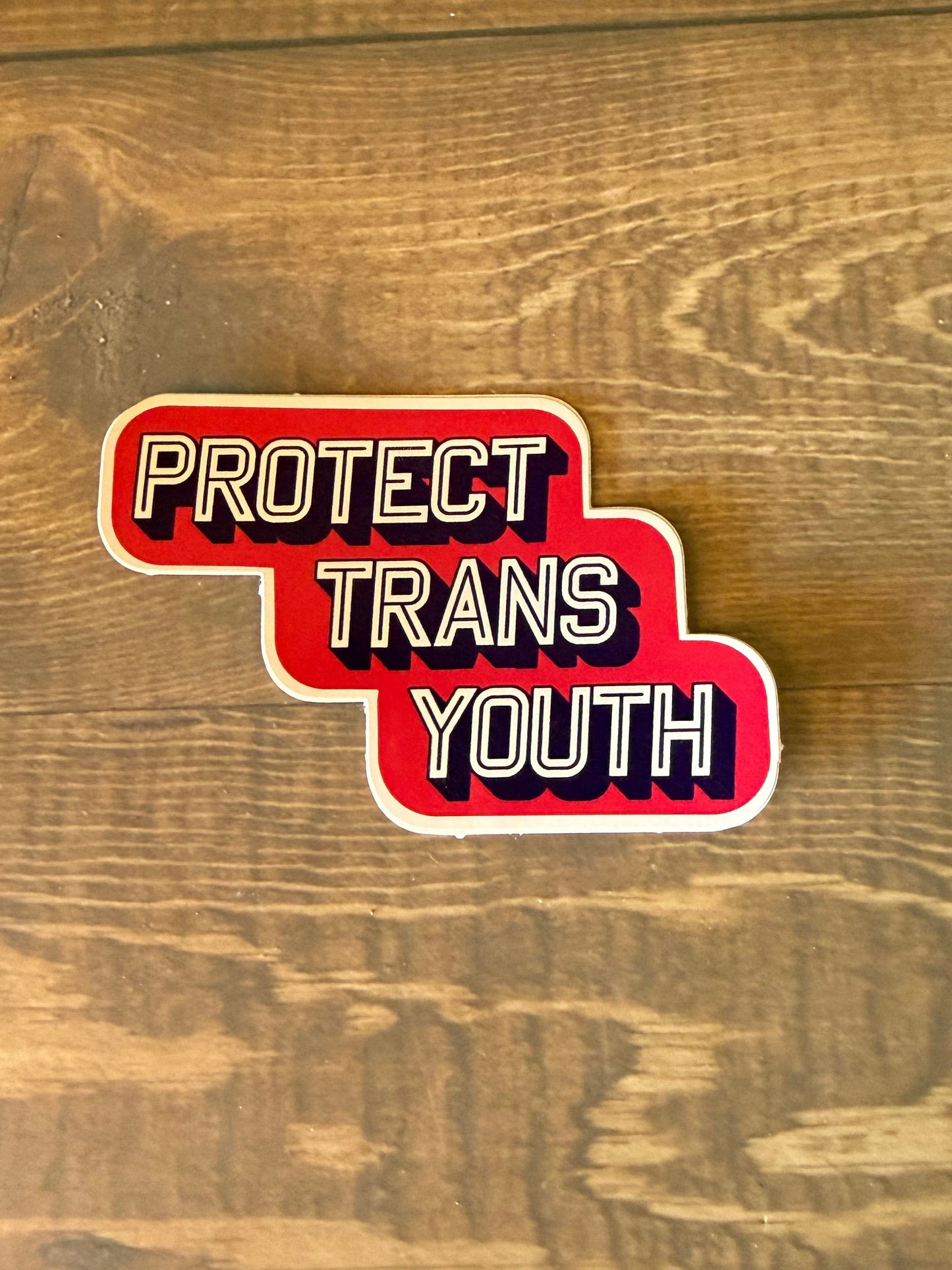 Protect Trans Youth Sticker